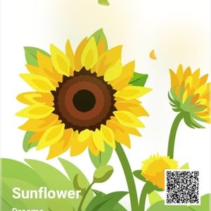 Meet your Posher, Alba